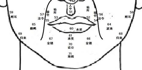 鼻運 年齡|麥玲玲面相講座9鼻子